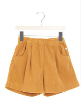 Corduroy bermuda shorts